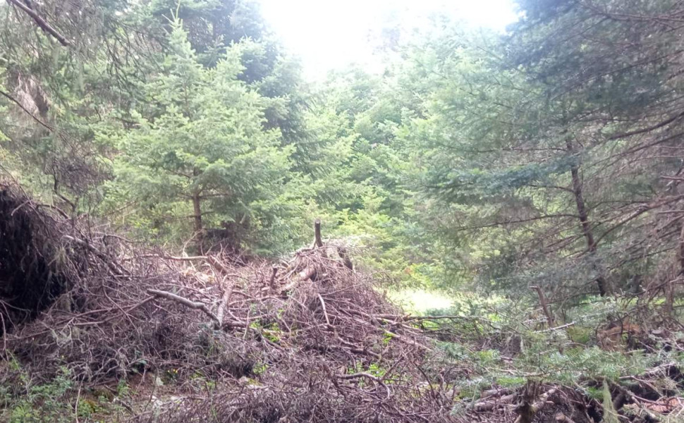 Δελτίο Τύπου