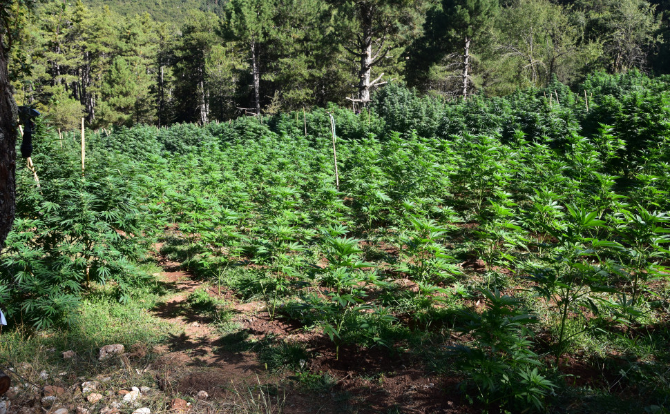 Δελτίο Τύπου