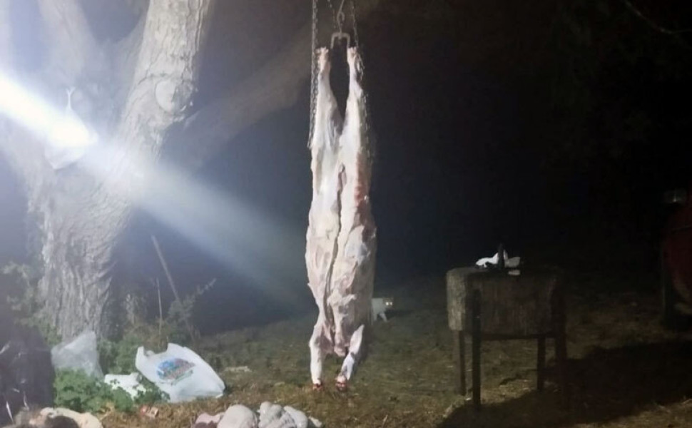 Δελτίο Τύπου