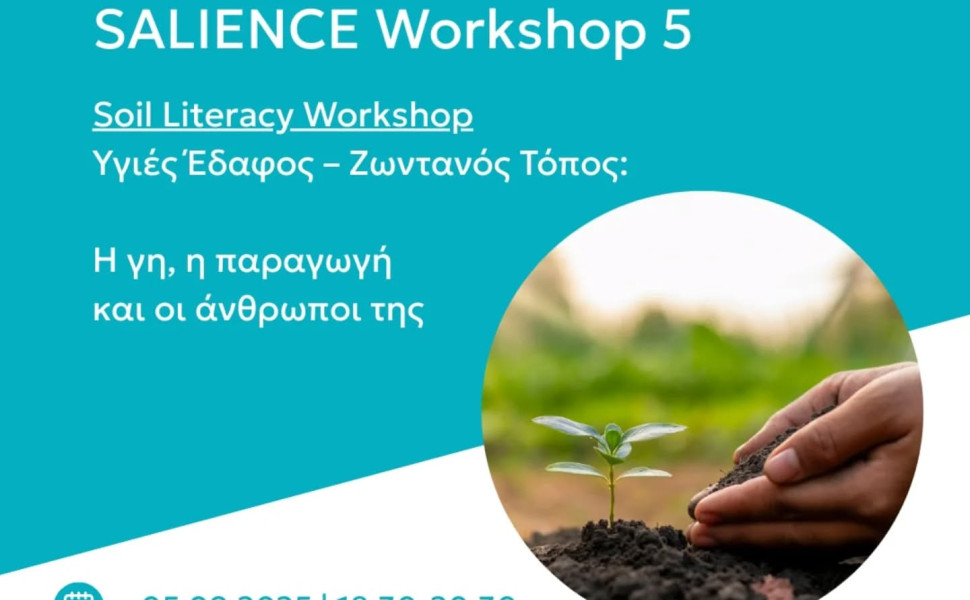 Δελτίο Τύπου