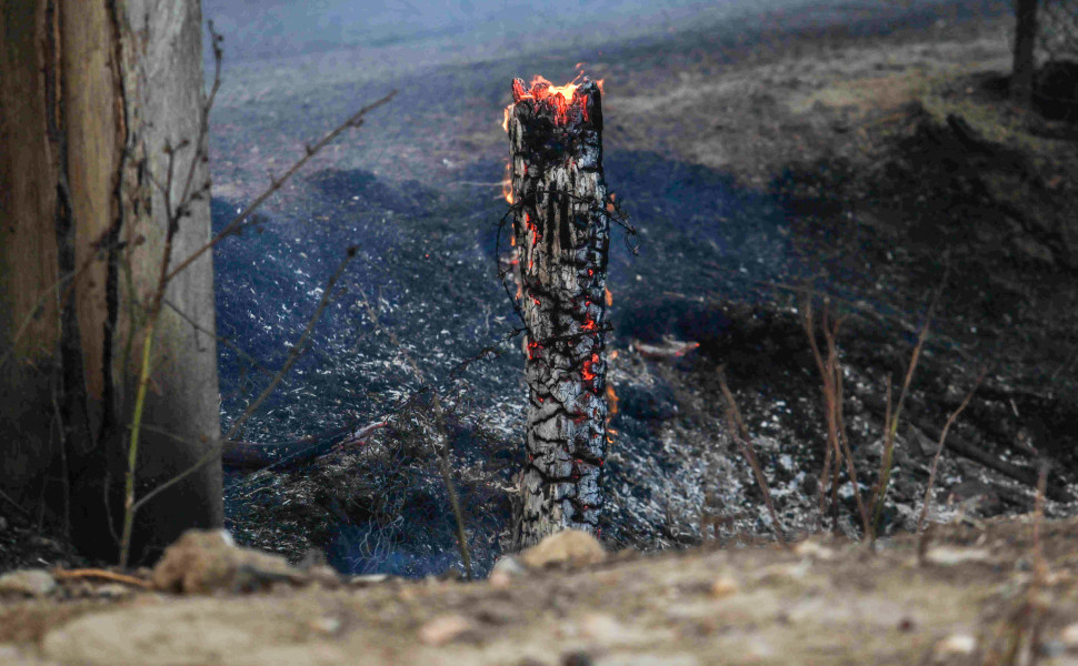 ΔΗΜΗΤΡΗΣ ΧΡΙΣΤΟΔΟΥΛΟΠΟΥΛΟΣ/EUROKINISSI
