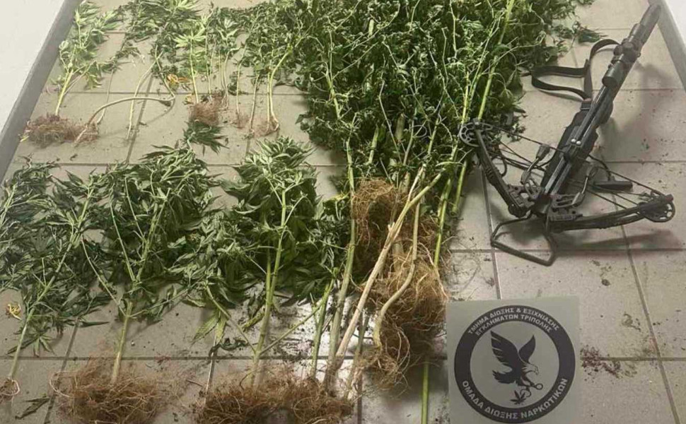 Δελτίο Τύπου