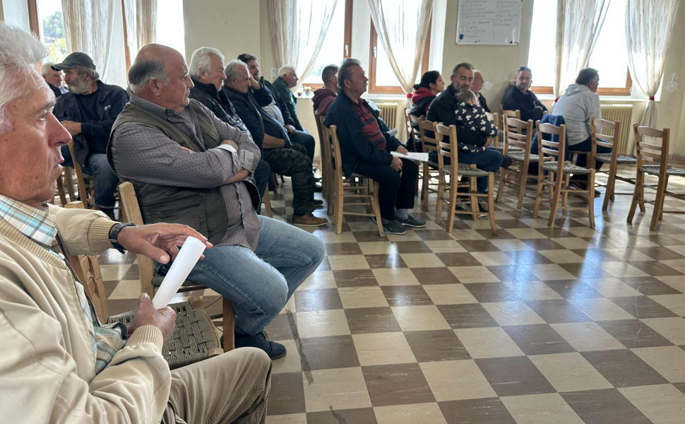 Δελτίο Τύπου