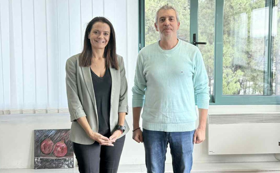 Δε΄λτίο Τύπου