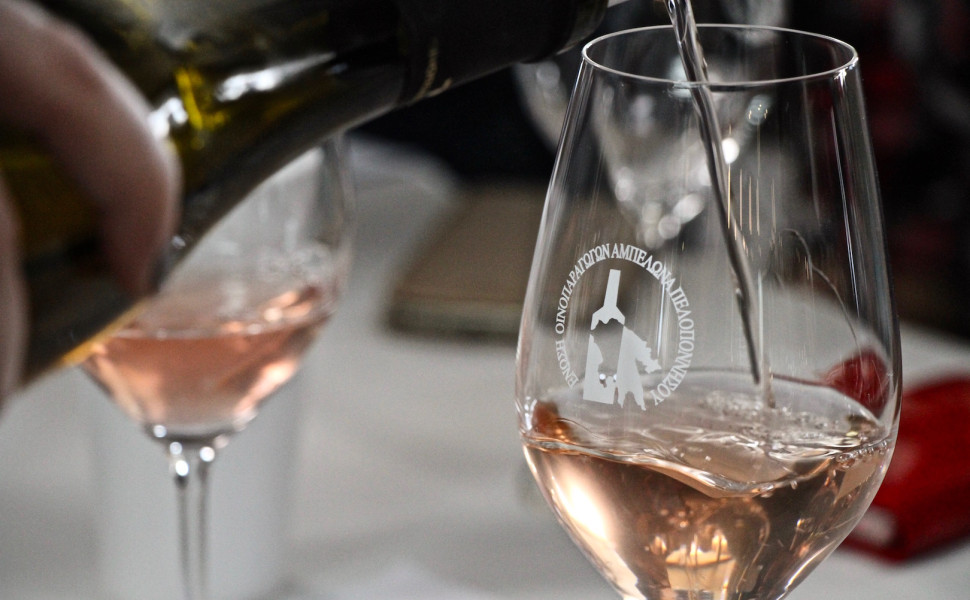 Δελτίο Τύπου