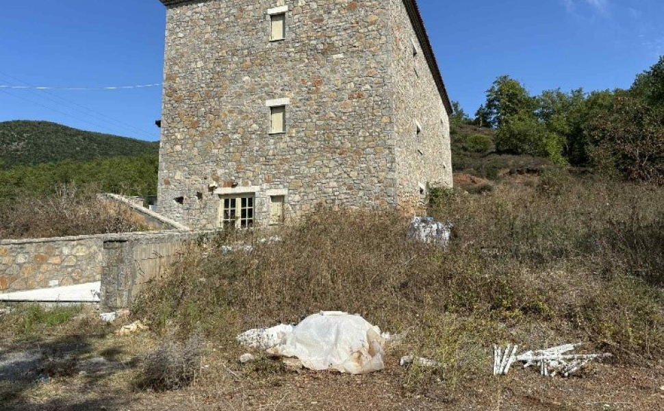 Δελτίο Τύπου