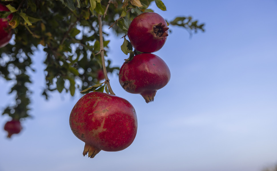 Αρχείο Eurokinissi