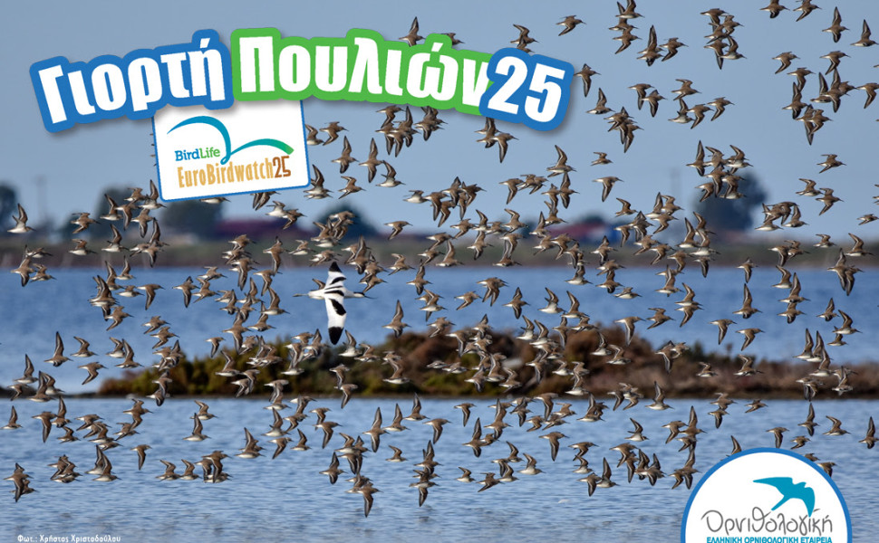 Δελτίο Τύπου