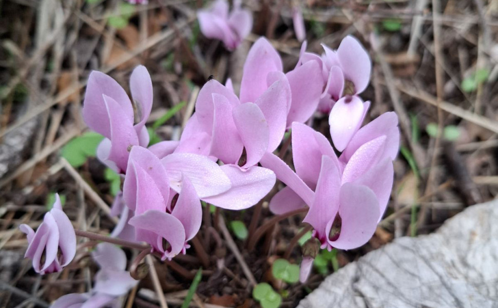 tritoisedrasi.blogspot.com