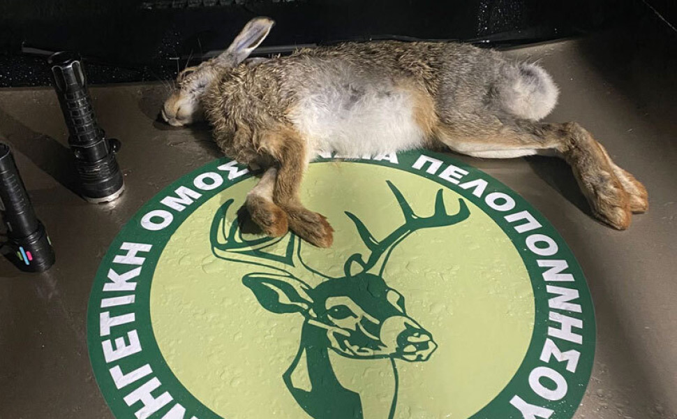 Δελτίο Τύπου