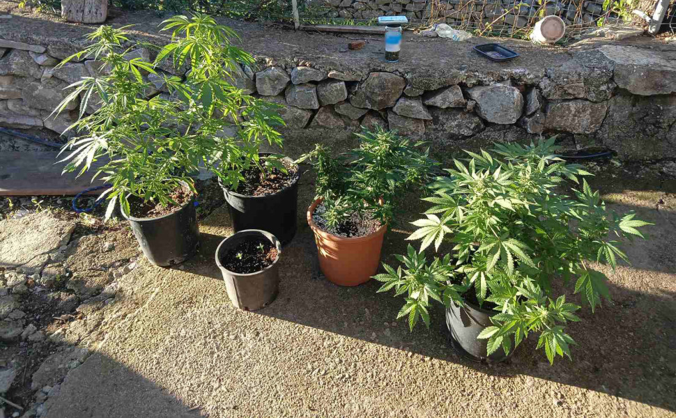 Δελτίο Τύπου