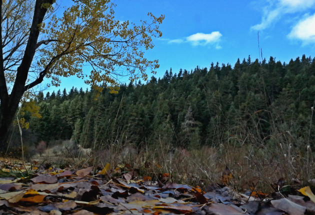 Τα αρχοντικά που έγιναν ξενώνες στην Ορεινή Γορτυνία
