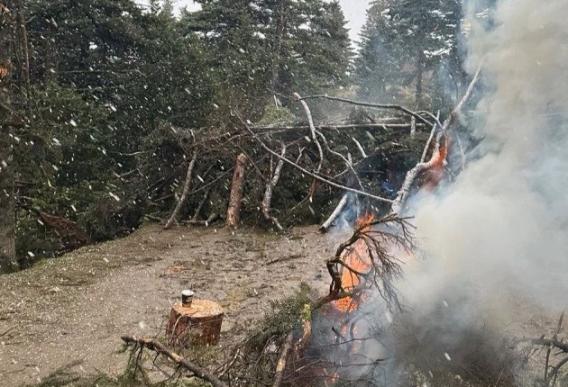 "Η Αρκαδία και ο Πάρνωνας ανήκουν στους πολίτες τους: Όχι στην περιβαλλοντική υποβάθμιση!"