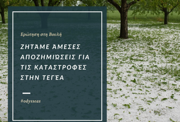 Οδυσσέας: Ανησυχητική η καθυστέρηση αποζημιώσεων για τους πληγέντες παραγωγούς της Αρκαδίας