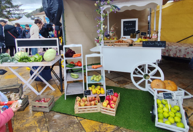 "Στο επίκεντρο ο αθλητισμός, ο πολιτισμός, η Αρκαδική γη και η ενσυναίσθηση στα Γεωργάντεια 2026"