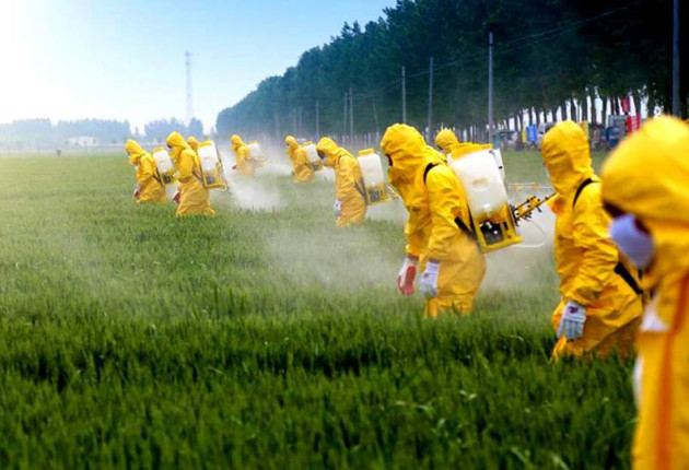 "Ντροπή της κυβέρνησης που «σερβίρει» νέα μεταλλαγμένα στο πιάτο μας"