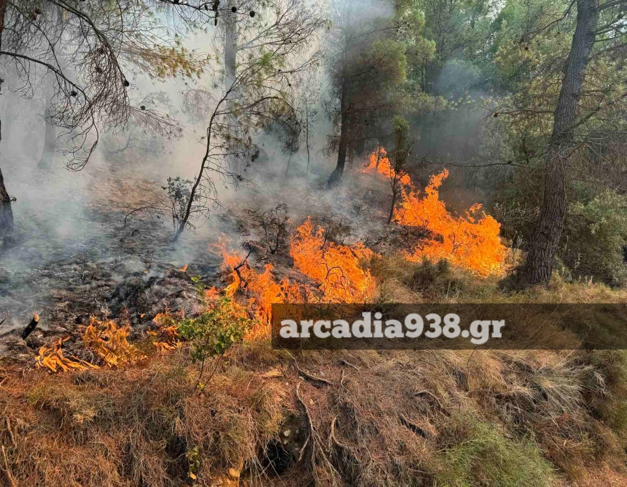 Στις φλόγες αγροτοδασική έκταση στο Λευκόχωμα Λακωνίας