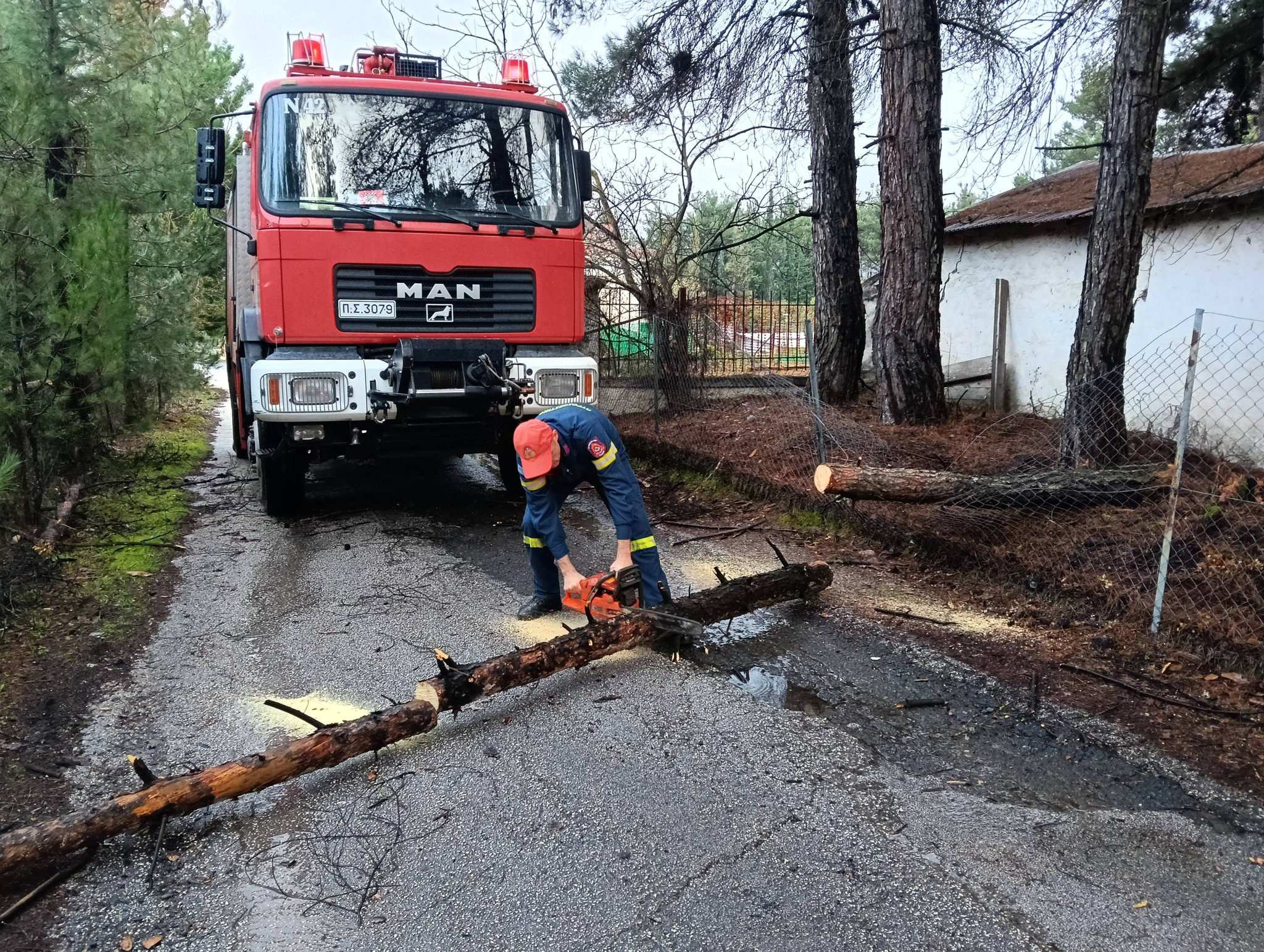 Τρίπολη: Οι ισχυροί άνεμοι έριξαν δέντρο στην οδό Δάσους