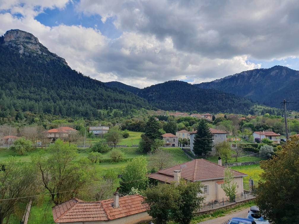 Η Βλαχέρνα φωταγωγεί το Χριστουγεννιάτικό της δένδρο