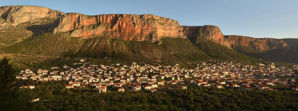 "Στο Λεωνίδιο ο αγρότης και ο έμπορος πορεύονται παραδοσιακά μαζί!"