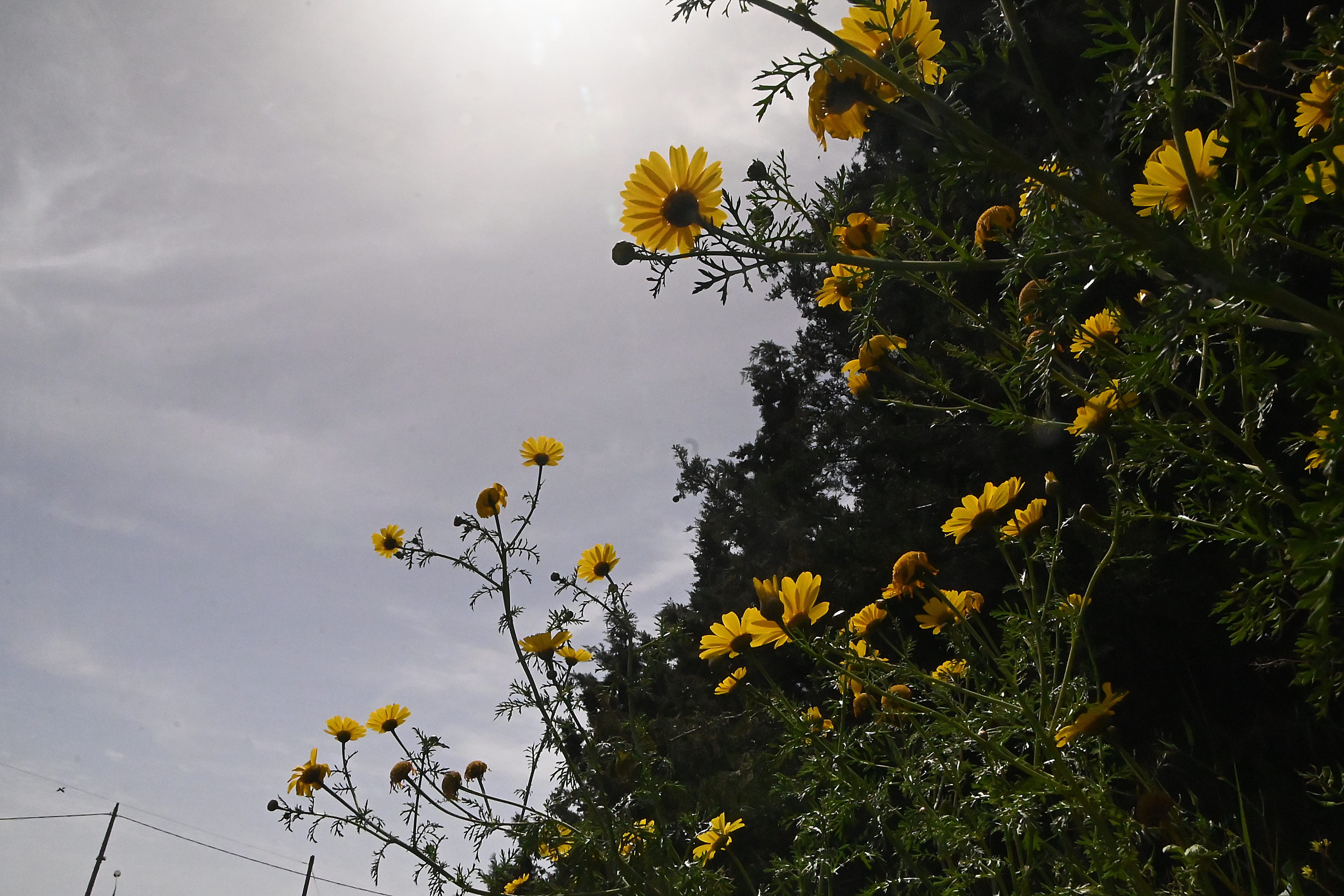 Τρίπολη:  ο καιρός σήμερα, 28 Οκτωβρίου