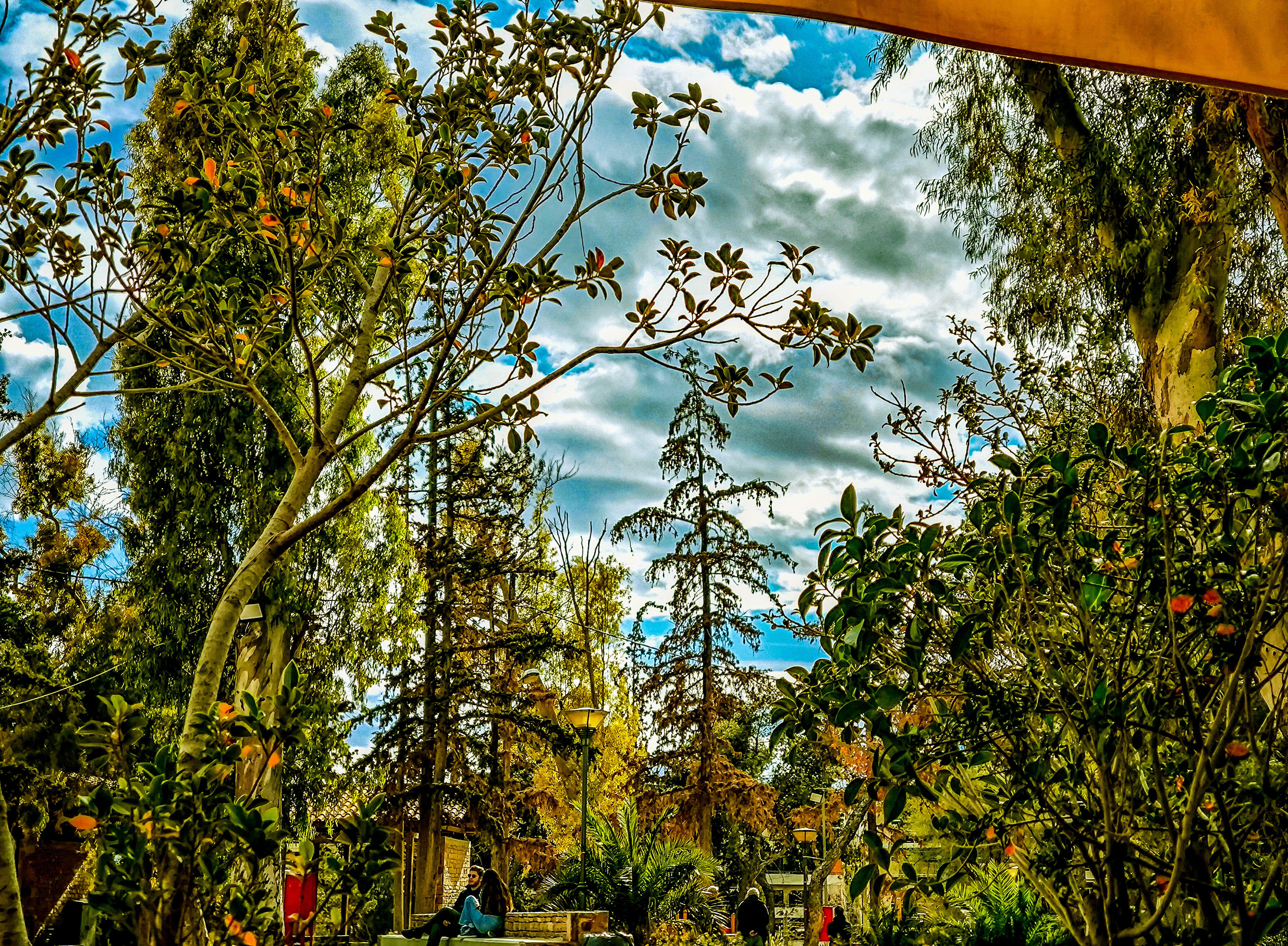 Τρίπολη: ο καιρός σήμερα, 20 Νοεμβρίου 2025