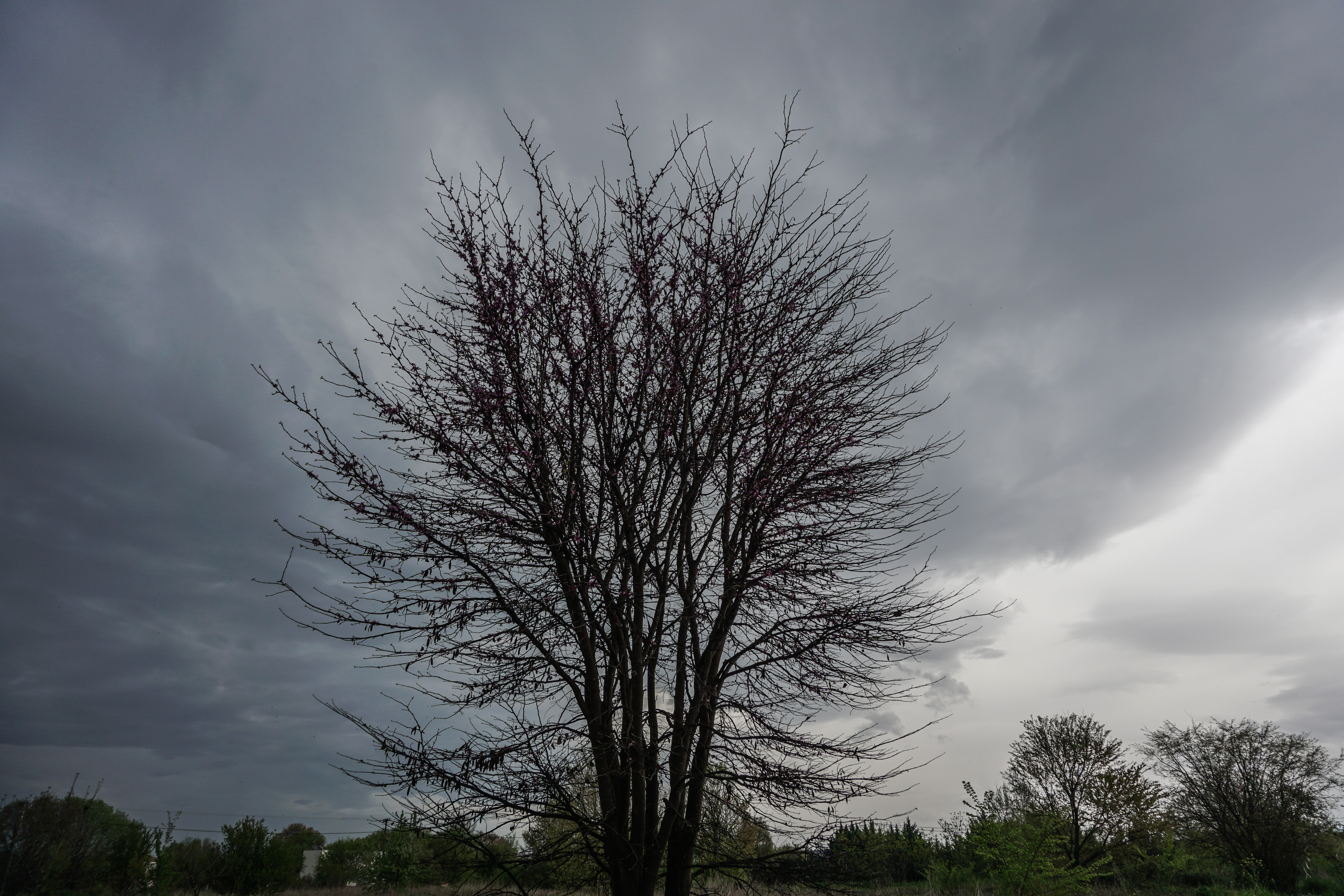 Τρίπολη: ο καιρός σήμερα, 31 Οκτωβρίου