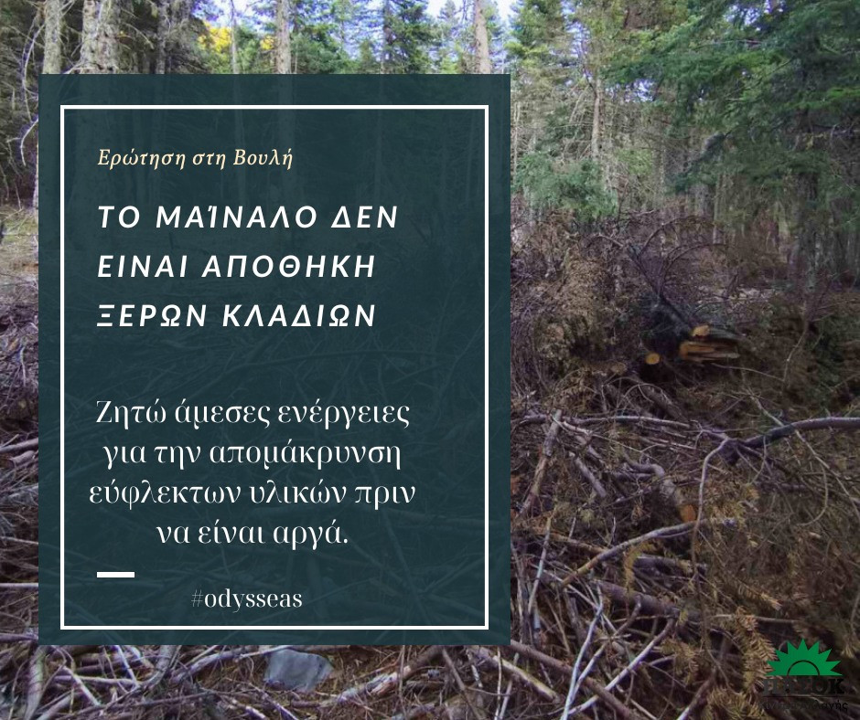Αντανακλαστικά Κωνσταντινόπουλου: στη Βουλή τα ξερά κλαδιά στο Μαίναλο