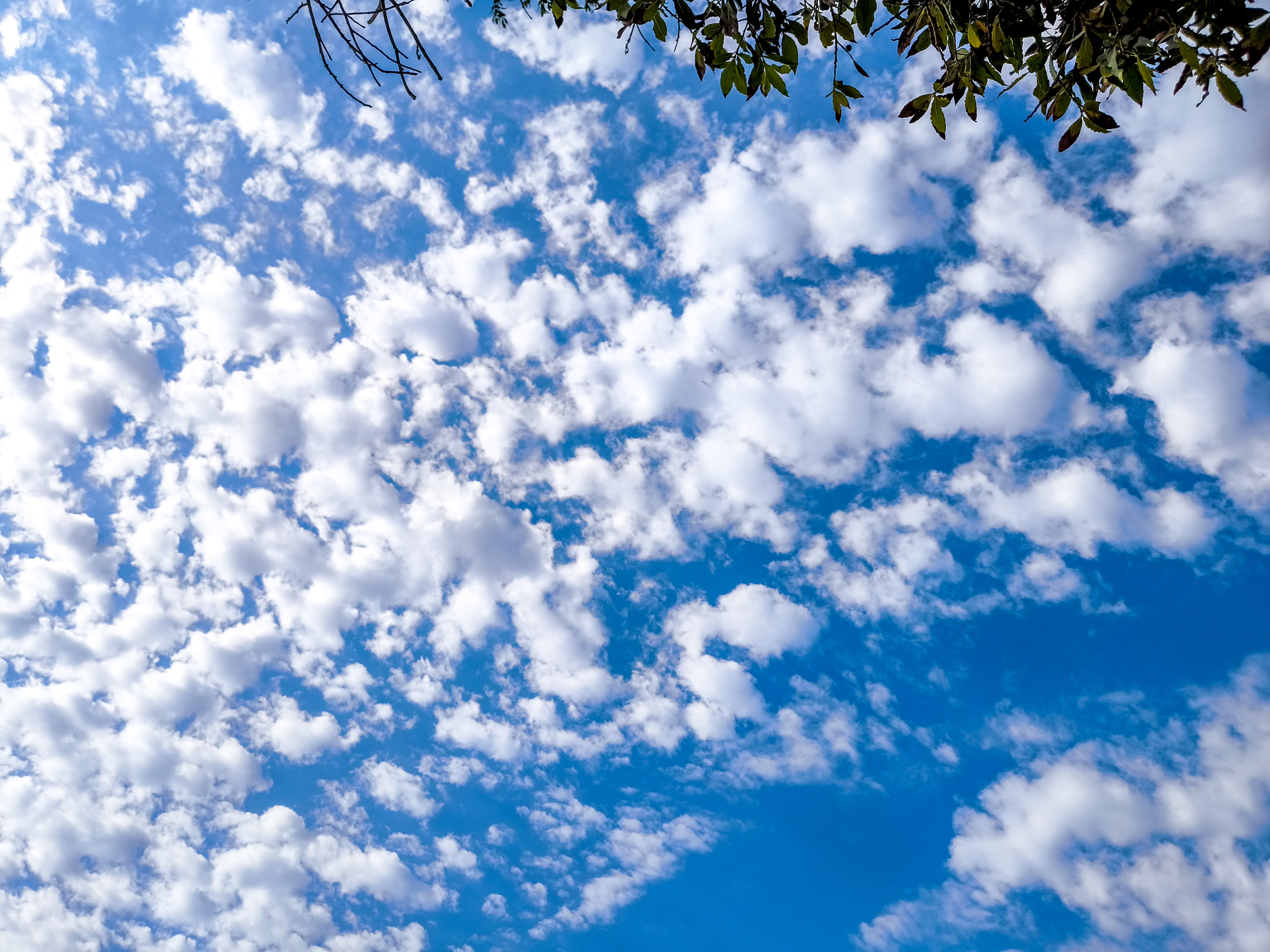 Τρίπολη: ο καιρός σήμερα, 01 Δεκεμβρίου 2025