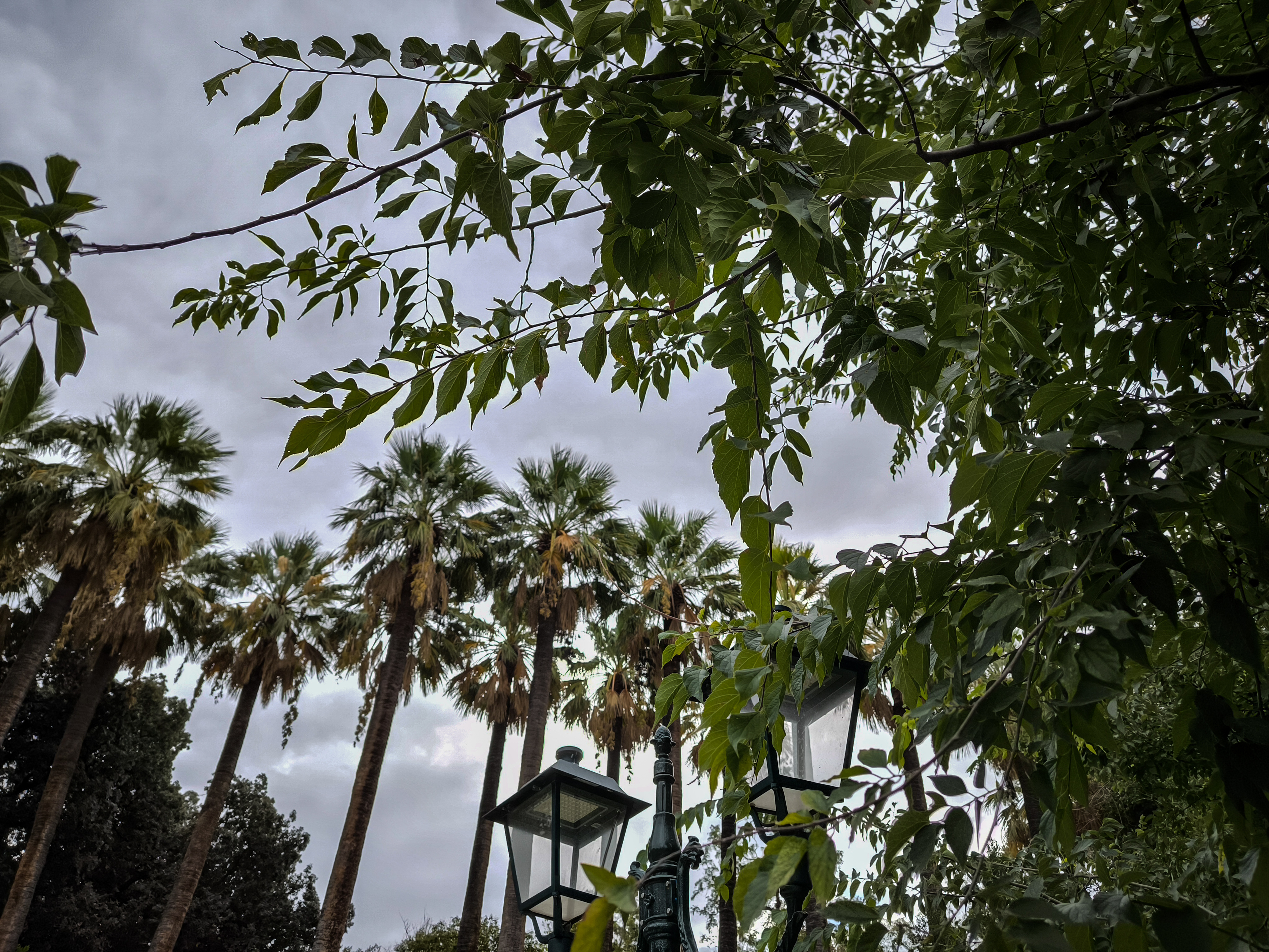 Τρίπολη: ο καιρός σήμερα, 17 Νοεμβρίου