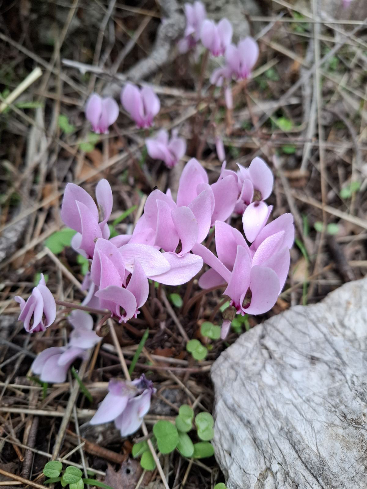 Τρίτοι σε δράση: Εκείνο το πρωινό του Οκτώβρη του '40 ξυπνήσαμε απ' τις καμπάνες!