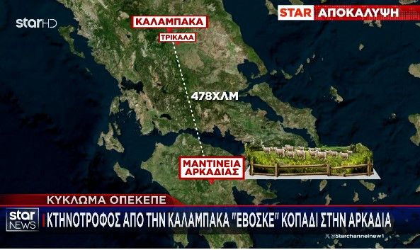 ΟΠΕΚΕΠΕ: Κτηνοτρόφος από την Καλαμπάκα έβοσκε κοπάδι στη... Μαντίνεια