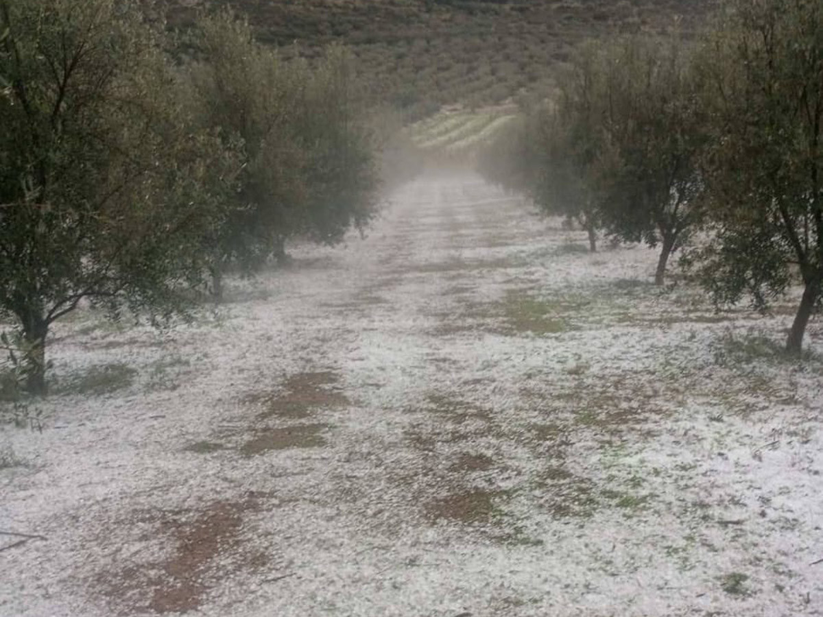 Κλιμάκια του ΕΛΓΑ στις πληγείσες περιοχές μετά από πρωτοβουλία της Περιφέρειας Πελοποννήσου